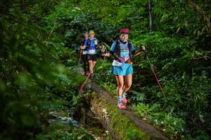 BIB: 
                            <button type="button" onclick="openModal(18923245)" class="btn btn-primary btn-sm float-right btn-popup" data-toggle="modal" data-target=".modal-high-quality">
                        <i class="fas fa-shopping-cart"></i> Add to Cart
                    </button>
                                            <button type="button" onclick="isThisMe(18923245, true)" class="btn btn-success btn-sm float-right btn-popup btn-isme hidden" data-toggle="tooltip" data-placement="bottom" title="นี่คือรูปของคุณใช่ไหม คลิกที่นี่เพื่อเอาเข้าอัลบั้ม">
                        <i class="fas fa-plus"></i> Add to album
                    </button>
                    <button type="button" onclick="isThisMe(18923245, false)" class="btn btn-warning btn-sm float-right btn-popup btn-isnotme hidden">
                        <i class="fas fa-ban"></i> Remove from album
                    </button>